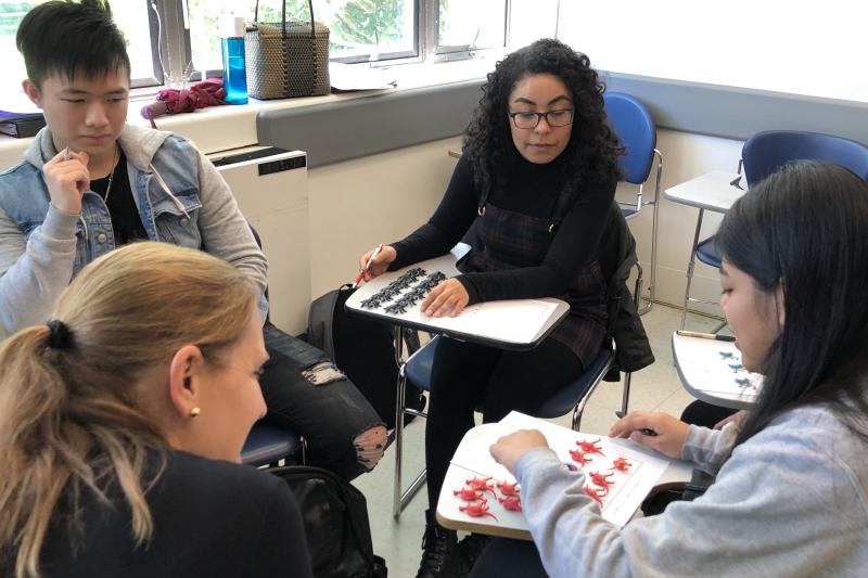 Group of students in a circle working out a problem.