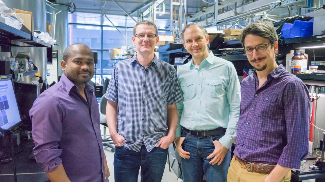 Zahid Hossain, left, Ingmar Riedel-Kruse, Paulo Blikstein and Engin Bumbacher have developed a remotely controlled biology lab f